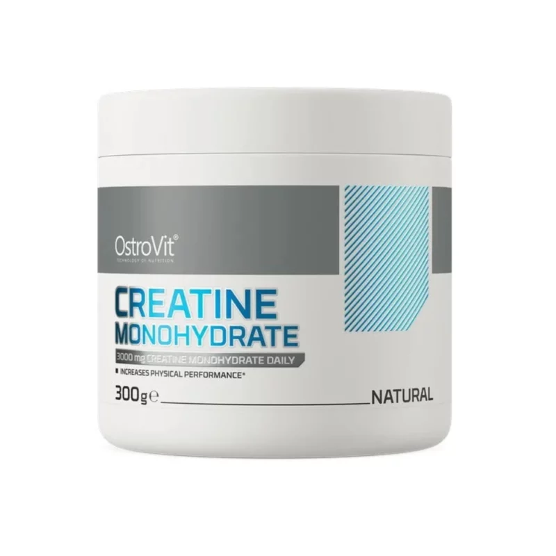 CREATINE MONOHYDRATE - 500G - GSN GREAT SPORT