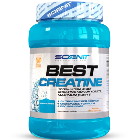 Best Creatine 100% Monohydrate - 1000 g -  Scenit