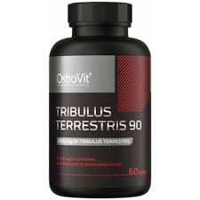 Tribulus Terrestris 90 - 60 Capsules - OstroVit